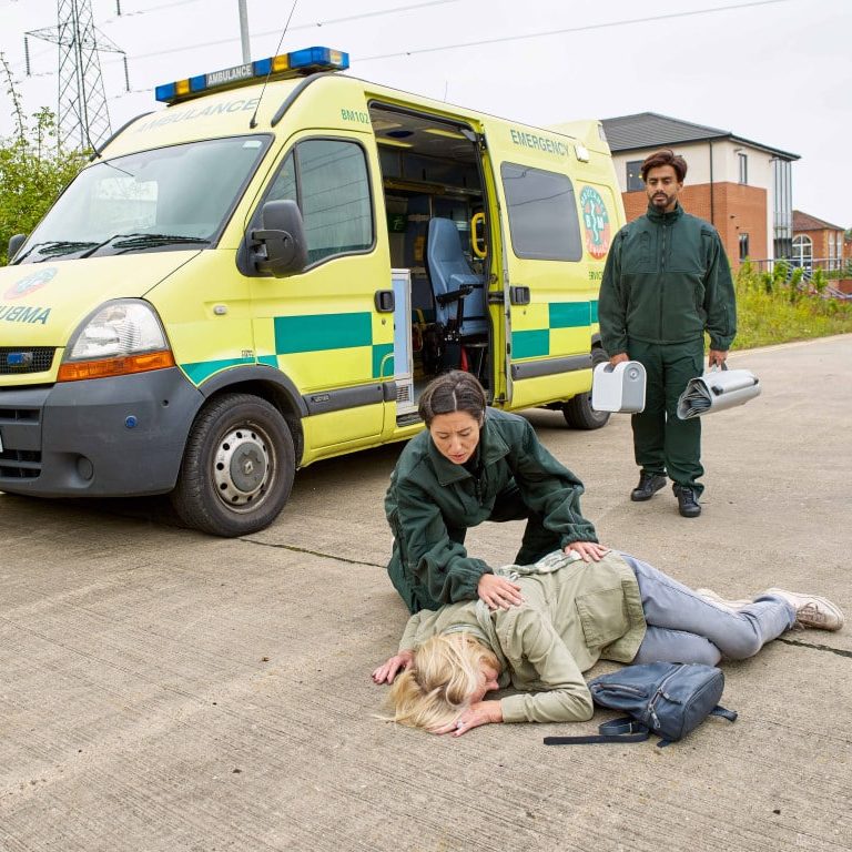 Elk Lifting Cushion 4