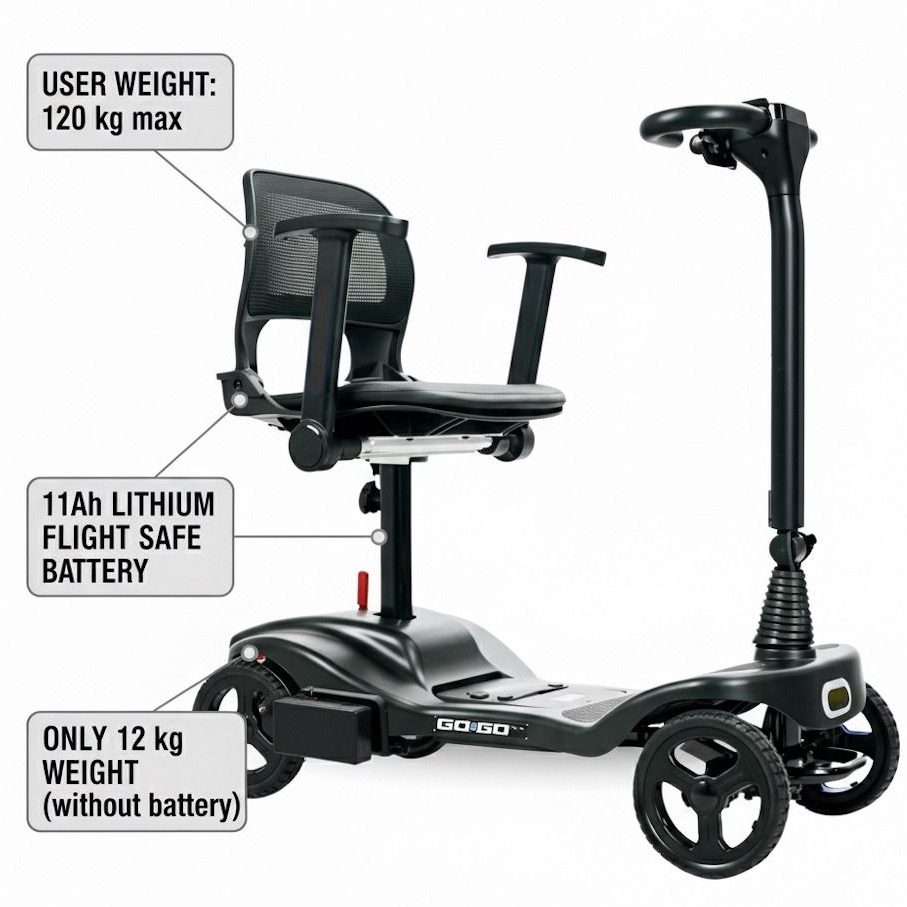 Go Go Mg lite Scooter 2